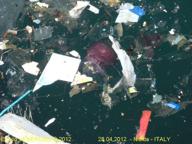 6 - Il mare ferito - The wounded sea.jpg